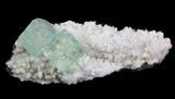 Cubic, Green Apophyllite Crystals - India #34062-1